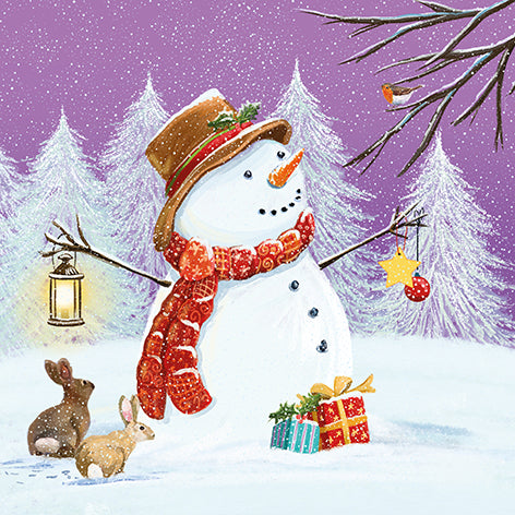Christmas Cards - Snowman Chatting to Robin