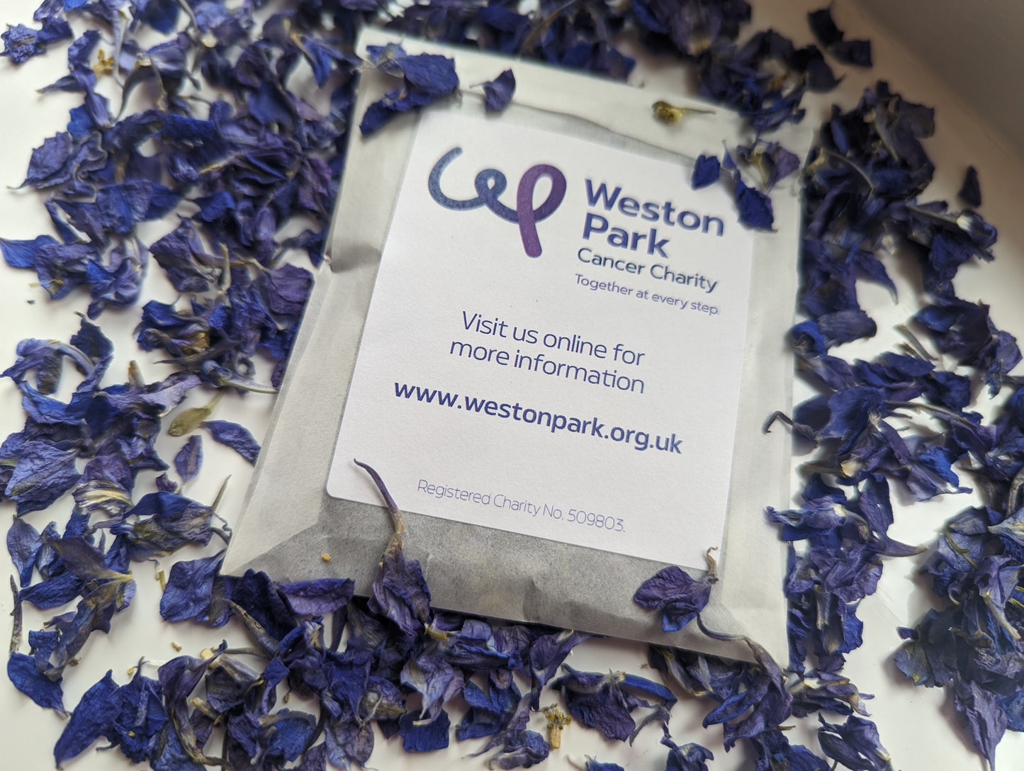 Biodegradable Petal Confetti