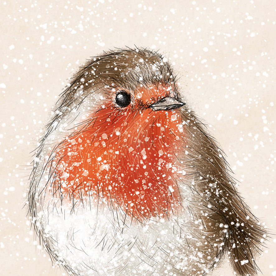 Christmas Cards - Snowy Robin
